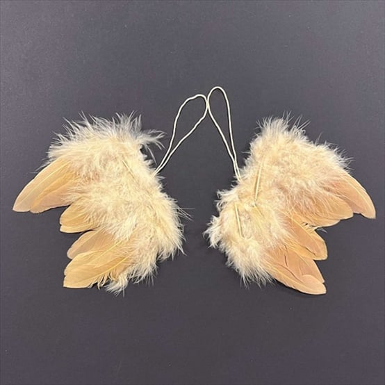 R8522806.jpg RAYHER ANGELS FEATHER WINGS 10CM 2PCS GOLD - Image 1