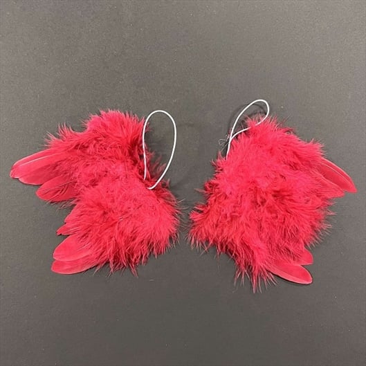 R8522819.jpg RAYHER ANGELS FEATHER WINGS 10CM 2PCS WINE RED - Image 1
