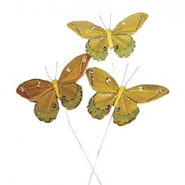 R8525534.jpg RAYHER BUTTERFLY OF FEATHERS 10CM 3PCS ORANGE - Image 1