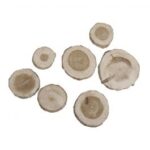 RAYHER PINE WOOD SLICES 3-5CM 100G ROUND