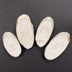 RAYHER WOODEN SLICES OVAL 9CM 4PCS WHITENED