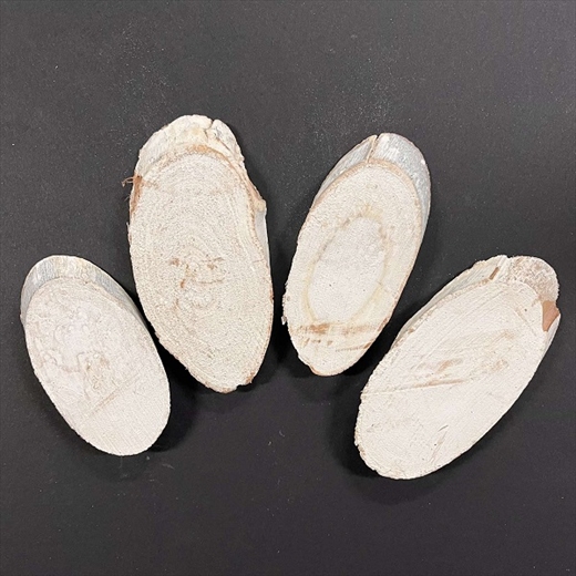 R85314000.jpg RAYHER WOODEN SLICES OVAL 9CM 4PCS WHITENED - Image 1