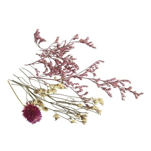 R85489254.jpg RAYHER MINI DRIED FLOWERS ASSORTED BLUSH PINK - Image 1