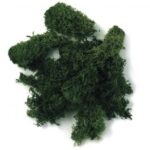 ICELANDIC MOSS DARK GREEN 30G