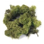 ICELANDIC MOSS LIGHT GREEN 30G