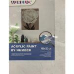AUREUO ACRYLIC PAINT BY NUMBER STRETCHED CANVAS SET 40X50CM [WHITE BLOSSOM]