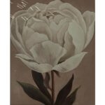 AUREUO ACRYLIC PAINT BY NUMBER STRETCHED CANVAS SET 40X50CM [WHITE BLOSSOM] - Image 2