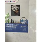 AUREUO ACRYLIC PAINT BY NUMBER STRETCHED CANVAS SET 40X50CM [WOMAN PROFILE]