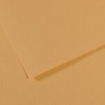 CANSON MI-TEINTES PAPER 160G 50X65CM CHAVRE CLAIR 340