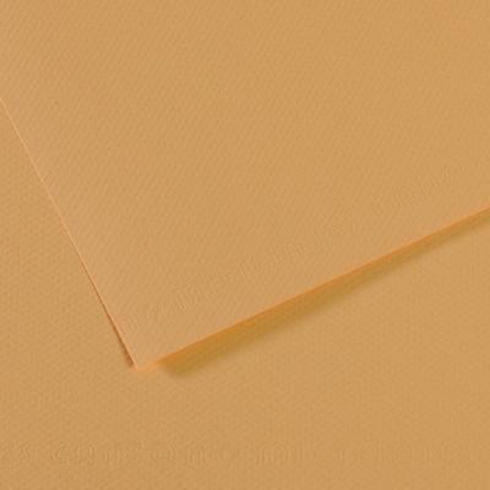 C321044.jpg CANSON MI-TEINTES PAPER 160G 50X65CM CHAVRE CLAIR 340 - Image 1