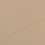 CANSON MI-TEINTES PAPER 160G 50X65CM GRIS TRIANON 343