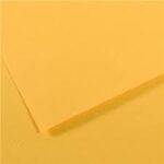 CANSON MI-TEINTES PAPER 160G 50X65CM BOUTON D OR 400