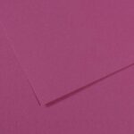 CANSON MI-TEINTES PAPER 160G 50X65CM VIOLET 507