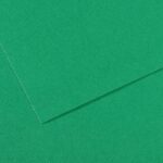 CANSON MI-TEINTES PAPER 160G 50X65CM VERT BILLARD 575