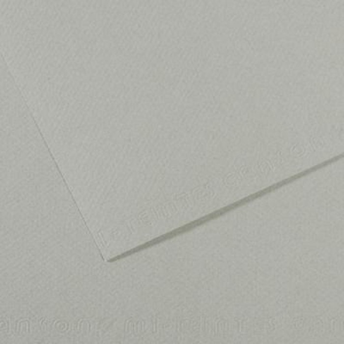 C331414.jpg CANSON MI-TEINTES PAPER 160G 50X65CM GRIS CIEL 354 - Image 1