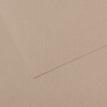 CANSON MI-TEINTES PAPER 160G 50X65CM GRIS CLAIR 426