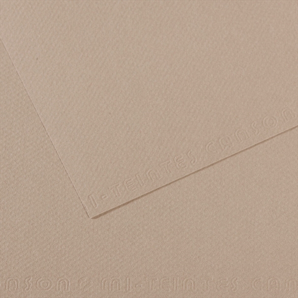 C331424.jpg CANSON MI-TEINTES PAPER 160G 50X65CM GRIS CLAIR 426 - Image 1