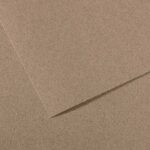 CANSON MI-TEINTES PAPER 160G 50X65CM GRIS CHINE 431