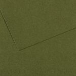 CANSON MI-TEINTES PAPER 160G 50X65CM VERT OCEAN 448