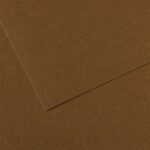 CANSON MI-TEINTES PAPER 160G 50X65CM MARRON FONCE 501