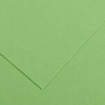 CANSON VIVALDI PAPER 120G 50X65CM 27 APPLE GREEN