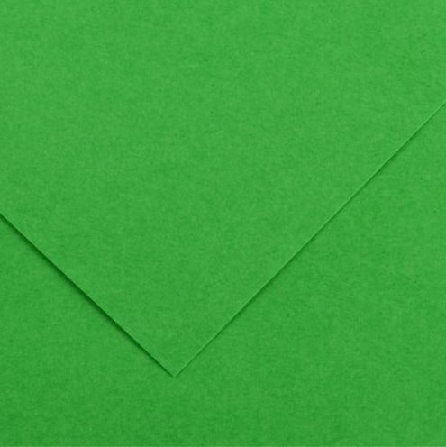 C40066.jpg CANSON VIVALDI PAPER 120G 50X65CM 29 BRIGHT GREEN - Image 1