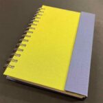 DALER ROWNEY CACHET DUETS SKETCHBOOK [SPIRAL] 5.25X8.25IN/13.3X21CM 110G 80SH CHARTREUSE/PERIWINKLE