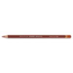 DERWENT DRAWING PENCIL AUTUMN LEAF 0600