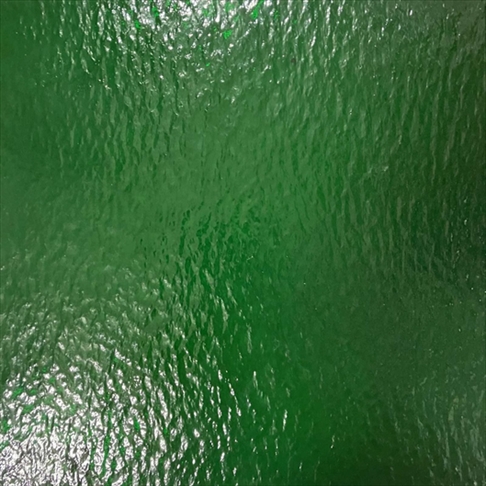 PPI0217406.jpg STAINED GLASS 30X30CM SP125RR DARK GREEN ROUGH ROLLE - Image 1